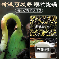 Green Heart Black Beans – Non-GMO Soybeans for Soy Milk & Bean Sprouts