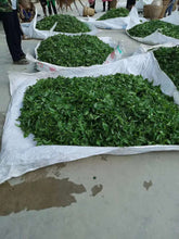 HelloYoung 357g Ancient Tree White Moonlight Yunnan Pu'er Tea White Tea Old White Tea Cake