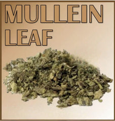 BULK ORGANIC MULLEIN -Best Quality Dried Mullein Leaf Tea Herb -500g