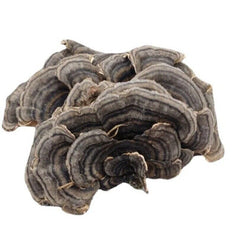 Raw Wholesale Organic Dried Turkey Tail Mushroom 500g