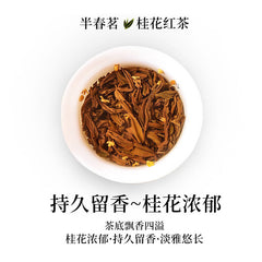 Authentic Osmanthus Black Tea 2024 New Wuyi Xiaozhong Flower Fragrance Gift Tea