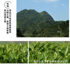 HelloYoung Taiwan High Mountain Tea Milk Aroma Golden Day Oolong Tea Milk Oolong Tea 500g