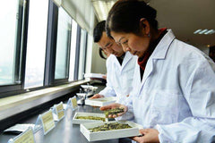 HelloYoung500g Yunnan Fengqing Dianhong Black Tea InBulk Red Tea Kung Loose Red Biluo Tea