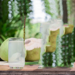 Coconut Water Powder Organic 1.1 lb Non-Gmo Electroytes | HELLOYOUNG