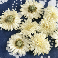 HelloYoung White Chrysanthemum Huangshan Chrysanthemum July Chrysanthemum Tribute 17.6oz