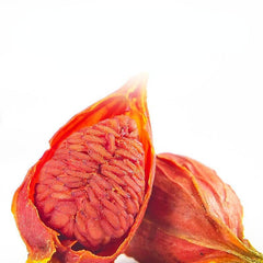 HelloYoung Natural Cape Jasmine Fruit Gardenia Zhi Zi 100% Chinese Ecology Herbs Particles