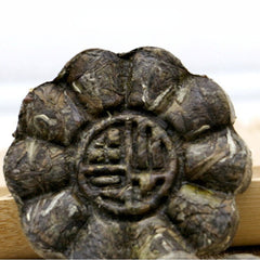 HelloYoung White Peony White Tea Fuding Suppress 100g Craft White Tea Health Drink Tea