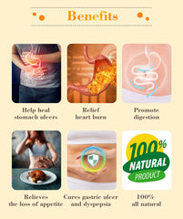 Natural Ulcer Healing Tea Herbal Tea 3g*30 bags