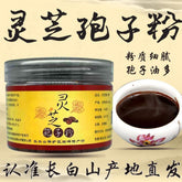HelloYoung Lingzhi Spore Powd Organic Reishi Mushroom Powder Top Grade Ganoderma Lucidum,