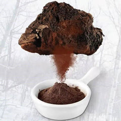 Chaga Mushroom Powder - Premium Quality - Promotes Immune Health