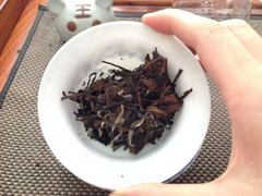 HelloYoung Fuding White Peony Chinese Kong Fu Tea White Tea China Organic Baimudan Tea 310g