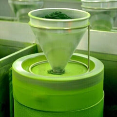 Japanese Matcha Green Tea Ayame 100g, Kyoto Uji Matcha Powder