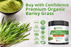 Barley Grass Powder - USDA Certified Organic Barley Grass Powder - Non-GMO