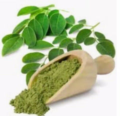 ✅ MORINGA OLEIFERA Leaf Powder - Premium Quality - 100% Certified Organic