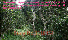 HelloYoung100g China Specials Organic Loose White Tea Pu Er Buds Wild Pu'er Tea Puerh Raw