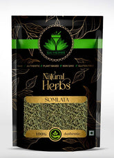 HelloYoung Somlata - Somavalli - Soma - Khanta - Ephedra Gerardiana - Pure & Natural (250 Grams)