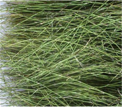 HelloYoung Ephedra Herb tea China Original Scented Tea Good Tea Natural Organic Flower tea Green Food Without Additives Herbal tea (500g)