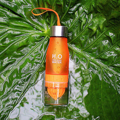 New Xmas Gift 650ml Water Bottle plastic Fruit infusion bottle Infuser Drink Outdoor Sports Juice lemon Portable Kettle