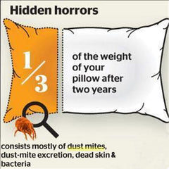 2 Packs Herbal Dust Mite Eliminator Mite Remover Reduces Acne & itching Safe for use on your bed sheets, mattresses, pillows