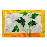 Wawasan Pharmaceuticals Chinese Medicine Drinks Calcined Oyster Calcined Chinese Medicine Grab & Go Chinese Medicine Shop 瓦屋山药业中药饮片 煅牡蛎 煅制 中药材抓配 中药材店铺