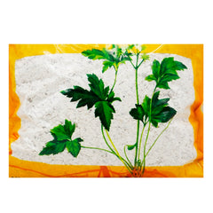 Wawasan Pharmaceuticals Chinese Medicine Drinks Oyster Oyster Crushed Chinese Herbal Medicine Grab & Go Chinese Herbal Medicine Shop 瓦屋山药业中药饮片 牡蛎 碎块 中药材抓配 中药材店铺