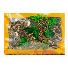 Wawashan Pharmaceuticals Chinese Herbal Drinks Baiying Duan Chinese Herbal Remedies Chinese Herbal Shop 瓦屋山药业中药饮片 白英 段 中药材抓配 中药材店铺