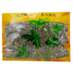 Wawashan Pharmaceuticals Chinese Herbal Drinks Bamboo Leaf Chaihu Duan Chinese Herbal Medicine Grab & Go Chinese Herbal Medicine Shop 瓦屋山药业中药饮片 竹叶柴胡 段 中药材抓配 中药材店铺