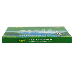 Jiuzhaigou Musk Bone Strengthening Cream 10pcs/bag OTC Jiu Zhai Gou 九寨沟 麝香壮骨膏 10贴/袋 OTC