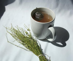 HelloYoung Somlata - Soma - Ephedra Vulgaris - Ephedra gerardiana (500 Grams)