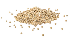 100% NATURAL 8oz/16oz white peppercorns whole, Peppercorn for Grinder Refill