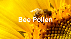 Bee Pollen Powder 8.8oz Natural Vegan Gluten Free