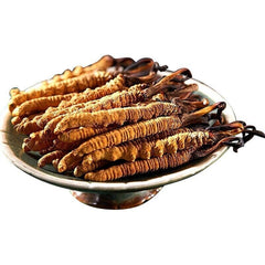 10 Pieces Chinese Caterpillar Fungus Cordyceps Sinensis Wild Tibetan Aweto
