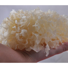 HelloYoung White Fungus Mushroom Dry Snow Fungus Tremella Fuciformis Silver Ear YinEr