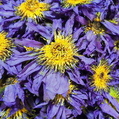 100g Dried Loose Blue Lotus Flower Herbal Tea Nymphaea Caerulea Savigny