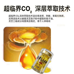 100% ORGANIC REISHI SPORE EXTRACT OIL 500mg x 200 Softgels NEW !