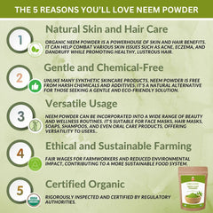 Organic Neem Leaf Powder - 3.35 Oz. - Azadirachta Indica for Hair and Skin Care