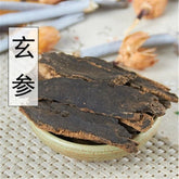 HelloYoung 100% Natural xuan Shen Ningpo Radix Rhizoma Ginseng Root Angelicae scrophulariae