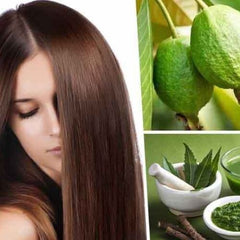 100% Herbal Tea | Loss Weight Organic Dried Guava Leaves Powder