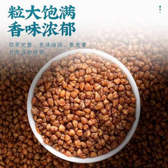 250g TongRenTang black buckwheat tea 同仁堂黑苦荞茶250g/罐 正宗四川大凉山苦荞茶包胚芽大麦茶 麦香浓郁 NEW