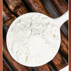 同仁堂川贝粉 中老年川贝母贝粉盒装20g Tongrentang Sichuan shell noodles