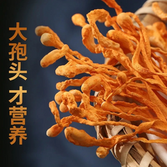 250g Chinesische Tradition Bio Cordyceps Sinensis Getrockneter Pilz
