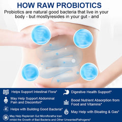 Raw Probiotics 100 Billion CFU Potency Digestive Immune Health 60 Capsules USA