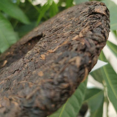 357g Yunnan Old Puerh Ripe Tea Tongqinghao 2008 Palace Aged Puer Cooked Tea Cake