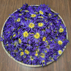 100g Dried Loose Blue Lotus Flower Herbal Tea Nymphaea Caerulea Savigny