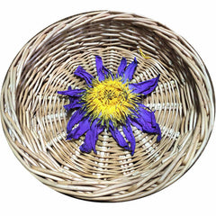 100g Dried Loose Blue Lotus Flower Herbal Tea Nymphaea Caerulea Savigny