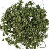 HelloYoung Pure Nature Herbs Drink125g Ginseng Flower Herbal Tea Dried Panax Ginseng China