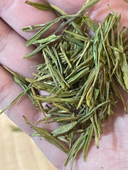 Premium Organic Anji Huang Jin Ya Golden Bud High Mountain Green Tea Anji BaiCha