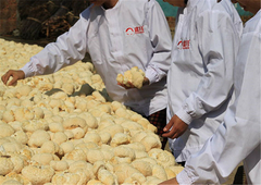 100% Organic 500g/1.1LB Dried Lion's Mane Mushroom Chinese Herbs Tea