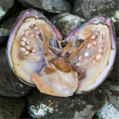 100% Face Mask Pure Natural Freshwater Super Fine Pearl Powder 500G