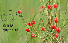 HelloYoung 500 Pure Herbal china Green Tea Wild Tea Health Herbs Huang Tea Loose weight